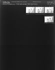 Man and woman looking at book (4 Negatives), July 10-11, 1964 [Sleeve 31, Folder c, Box 33]